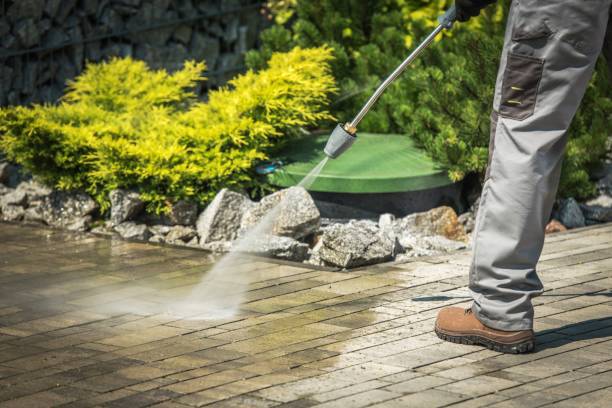 Best Pre-Holiday Cleaning  in Lake Mack Forest Hills, FL