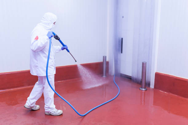 Best Solar Panel Cleaning  in Lake Mack Forest Hills, FL